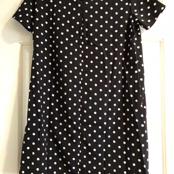 Polka Dot Dress with Collar - Picture 2 of 3